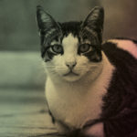 It´s not the Medium, it´s the Slam #8 - Reiseslam