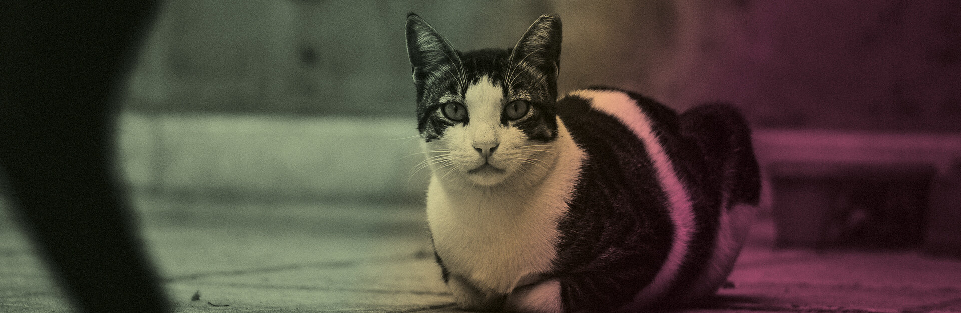 It´s not the Medium, it´s the Slam #8 - Reiseslam